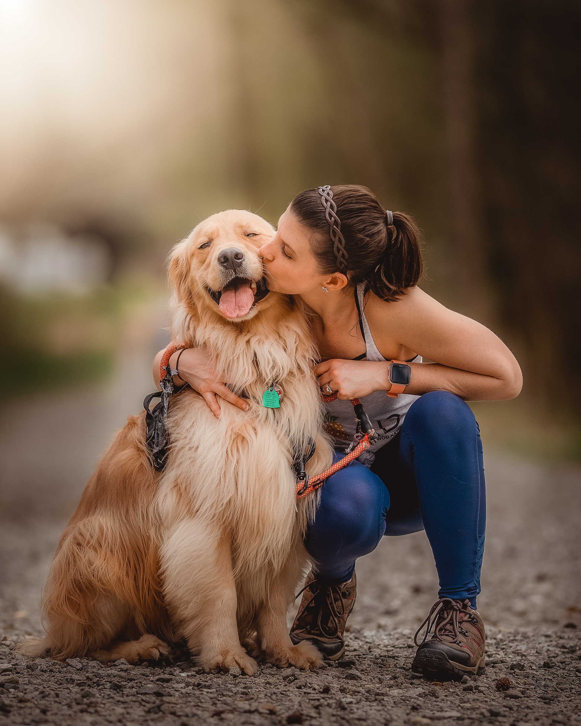 dog growls when hugged