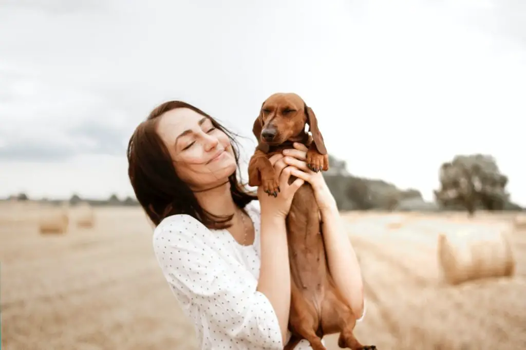 are dogs ticklish